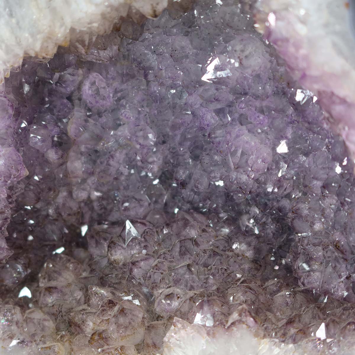 Amethyst Druse – Geode - 28x27cm und 14,6kg – Steinwelten OG - Nr. 335 with bright crystals from Brazil