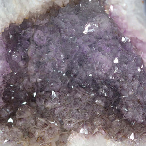 Amethyst Druse – Geode - 28x27cm und 14,6kg – Steinwelten OG - Nr. 335 with bright crystals from Brazil