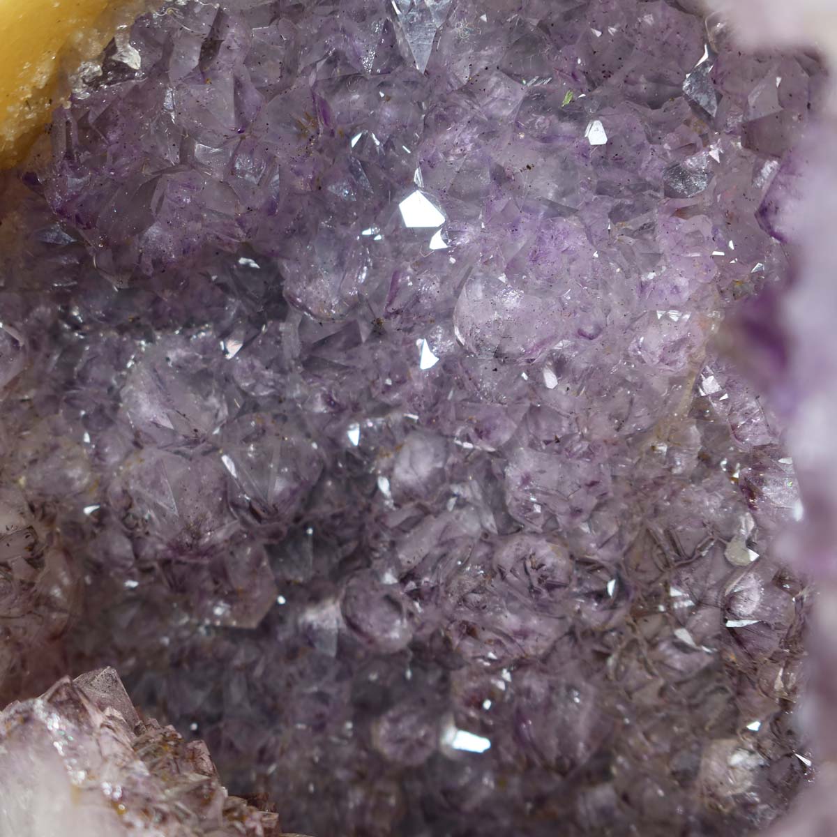 Amethyst Druse – Geode - 28x25cm und 14,1kg – Steinwelten OG - Nr. 336, helle Kristalle aus Brasilien in Nahaufnahme