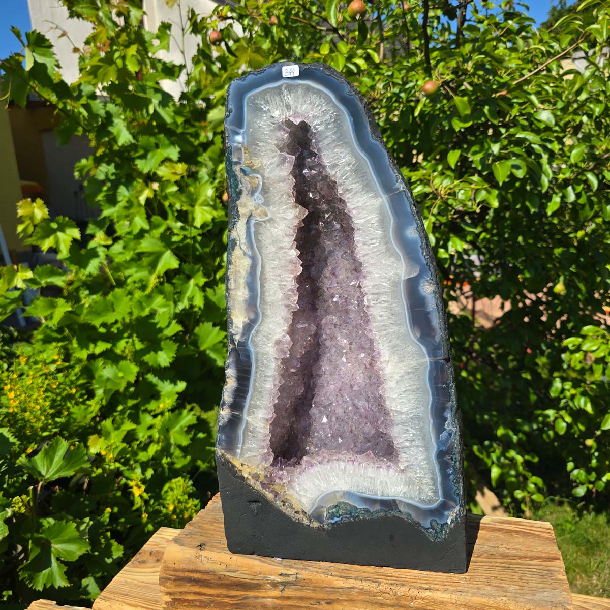 Amethyst Druse – Geode - 45x23cm und 19,2kg – Steinwelten OG - Nr. 344 in natural garden setting
