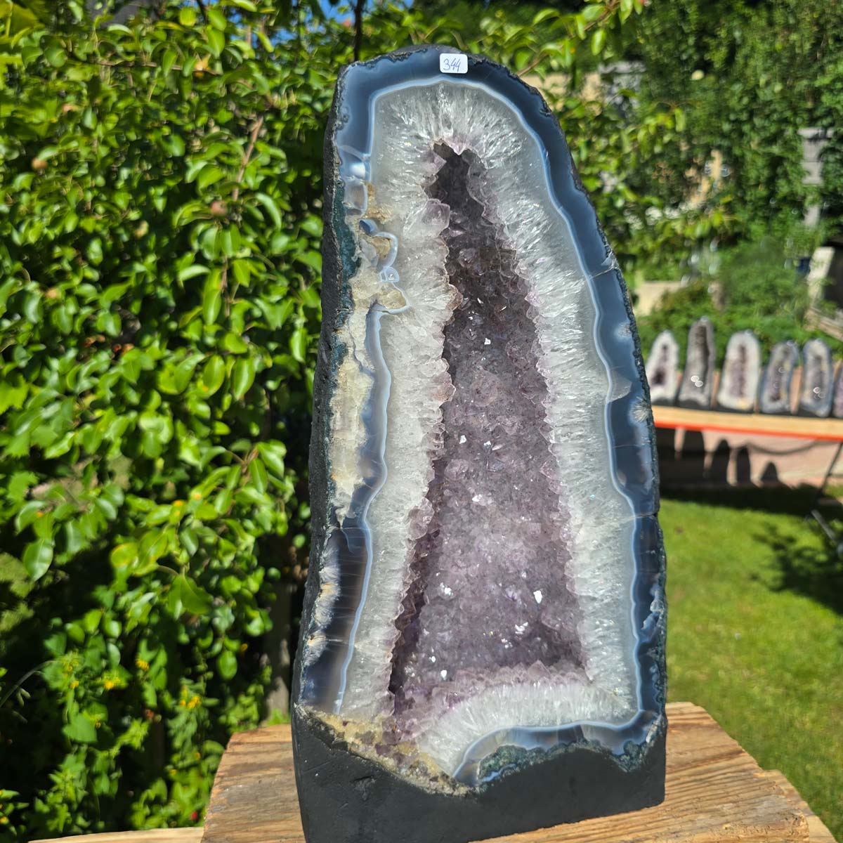 Amethyst Druse – Geode - 45x23cm und 19,2kg – Steinwelten OG - Nr. 344, showcasing bright crystals in a garden setting.