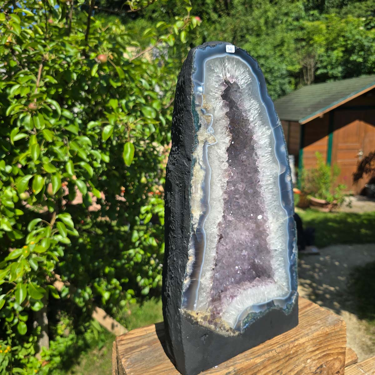 Amethyst Druse – Geode - 45x23cm und 19,2kg – Steinwelten OG - Nr. 344, showcasing bright crystals in a garden setting.