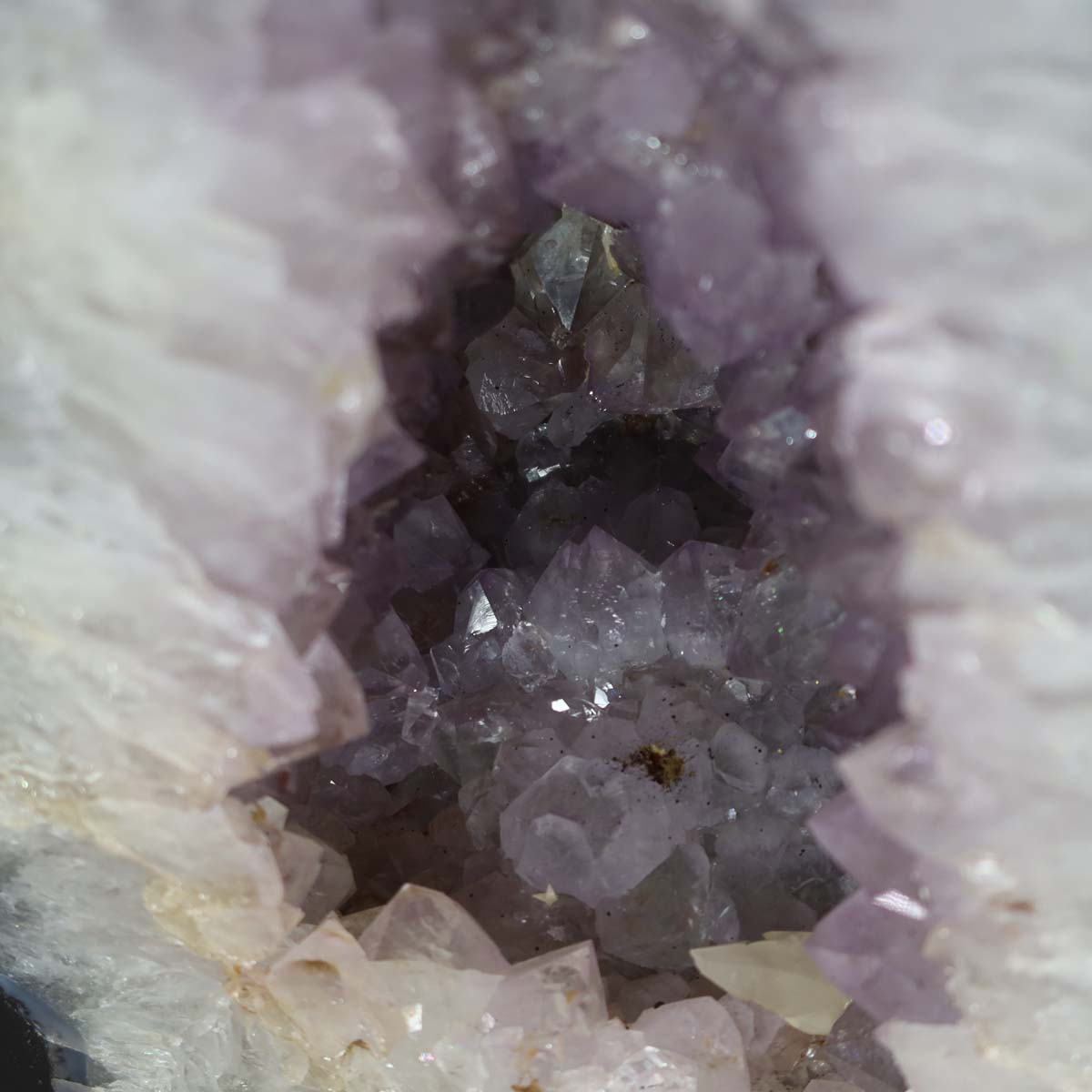 Close-up of Amethyst Druse – Geode - 46x25cm und 22kg – Steinwelten OG - Nr. 345 with bright lavender crystals from Brazil