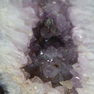 Close-up of Amethyst Druse – Geode - 46x25cm und 22kg – Steinwelten OG - Nr. 345 with bright lavender crystals from Brazil