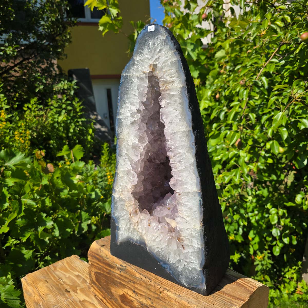 Amethyst Druse – Geode - 46x25cm und 22kg – Steinwelten OG - Nr. 345, helle Kristalle, Brasilien, harmonische Wohnraumdekoration