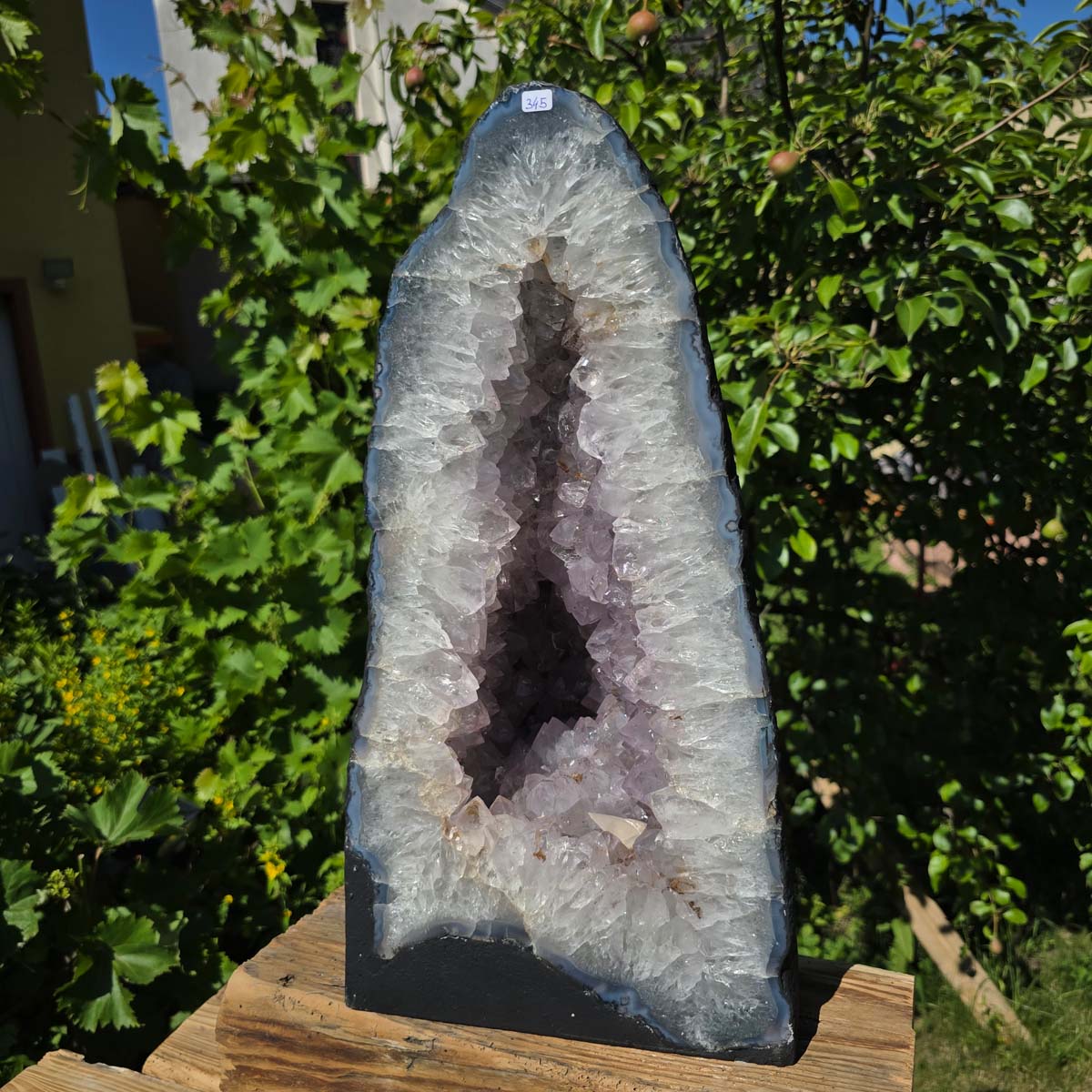 Amethyst Druse – Geode - 46x25cm und 22kg – Steinwelten OG - Nr. 345 in garden setting with vibrant green leaves.