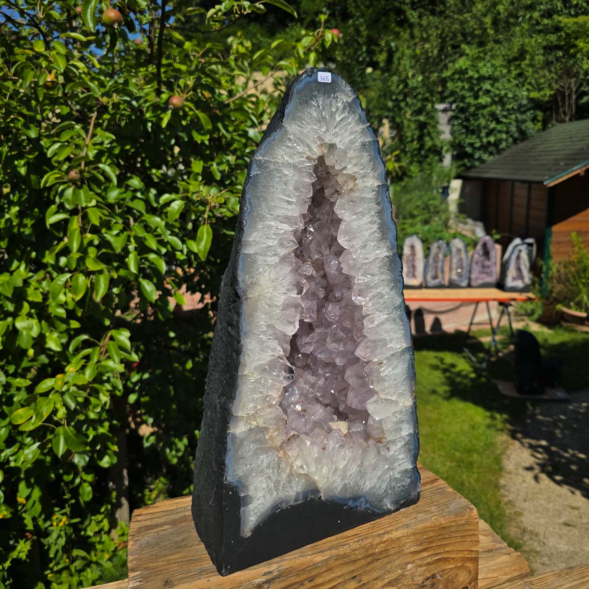 Amethyst Druse – Geode - 46x25cm und 22kg – Steinwelten OG - Nr. 345, helle Kristalle im Garten, brasilianische Geode