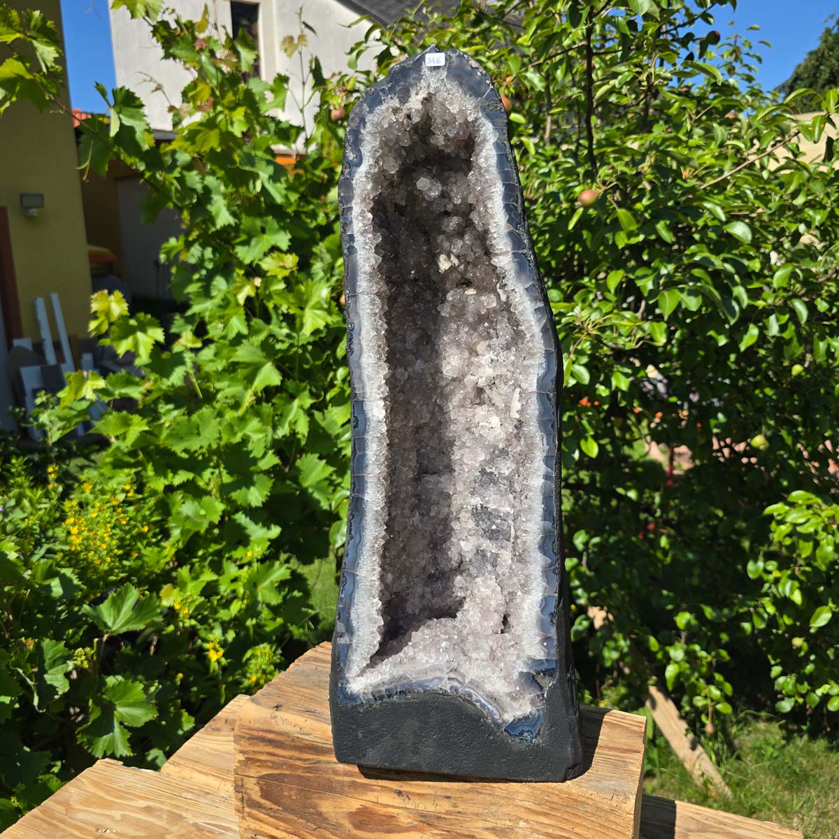Amethyst Druse – Geode - 57x22cm und 23,1kg – Steinwelten OG - Nr. 346 in Gartenkulisse