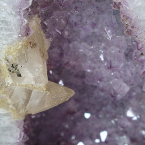 Amethyst Druse – Geode - 45x22cm und 17,4kg – Steinwelten OG - Nr. 347, Brazilian amethyst crystal close-up