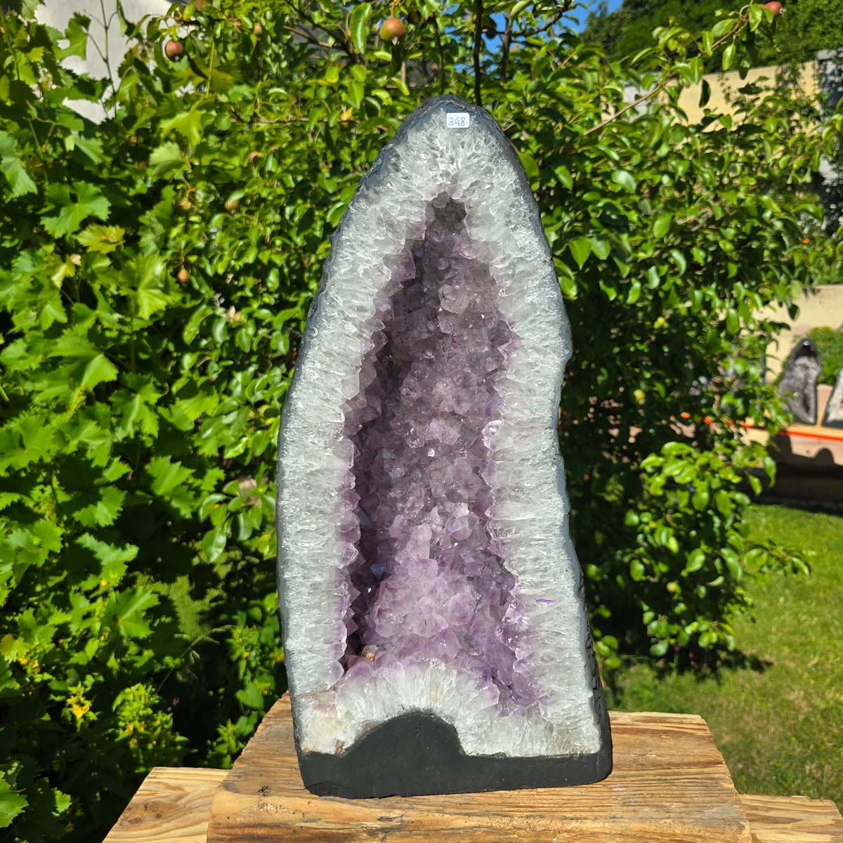 Amethyst Druse – Geode - 47x22cm und 19,2kg – Steinwelten OG - Nr. 348, bright Brazilian crystals, lavender tones