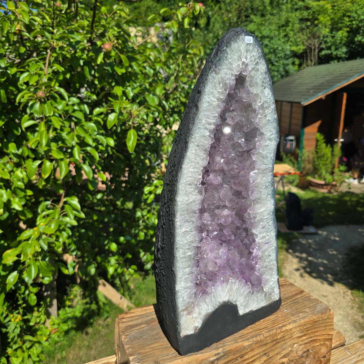 Amethyst Druse – Geode - 47x22cm und 19,2kg – Steinwelten OG - Nr. 348, bright crystals, Brazilian origin, scenic outdoor view
