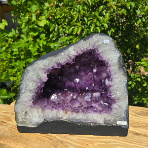Amethyst Druse – Geode - 32x237x16cm und 22,6kg – Steinwelten OG - Nr. 356 displayed in a natural setting.