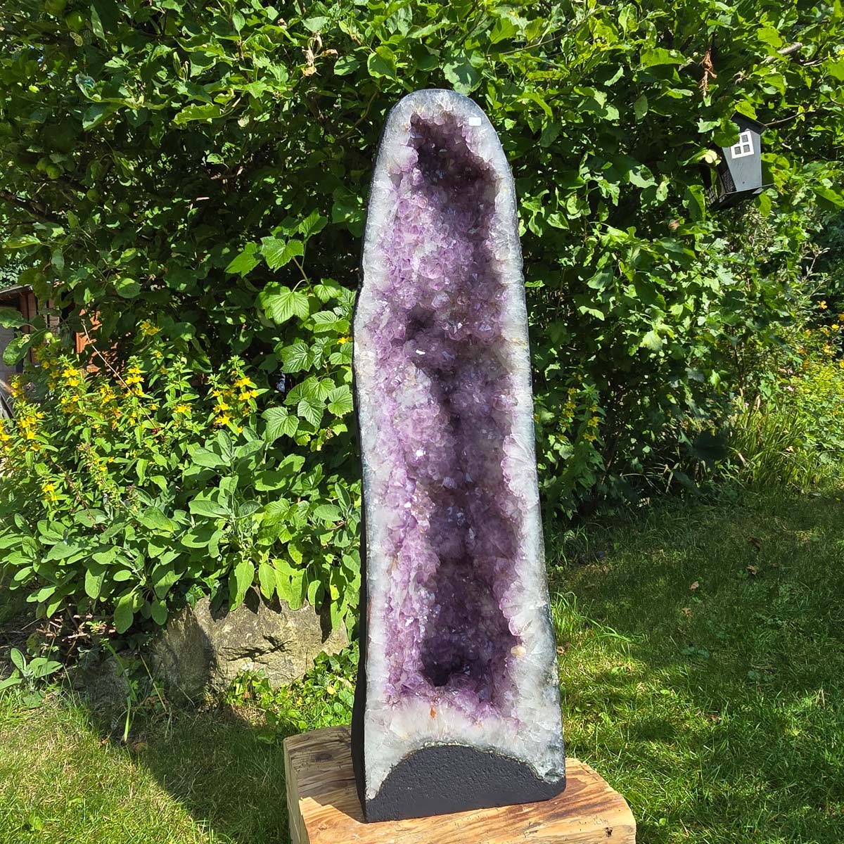 Amethyst Druse – Geode - 84x25x25cm und 46,2kg – Steinwelten OG - Nr. 359 in a garden setting