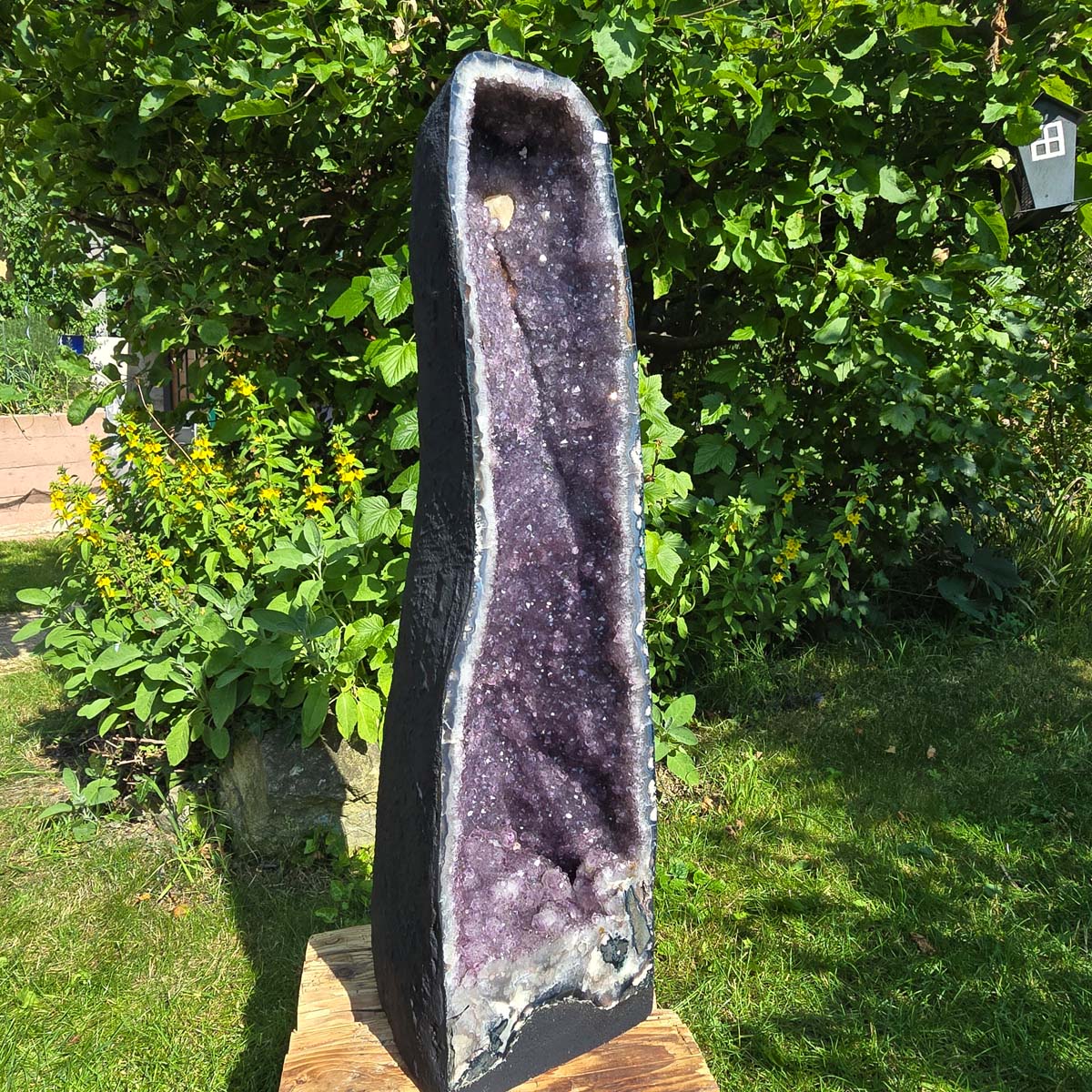 Amethyst Druse – Geode - 84x23x26cm und 45,4kg – Steinwelten OG - Nr. 361, perfect for stylish interiors, gardens, and healing spaces.