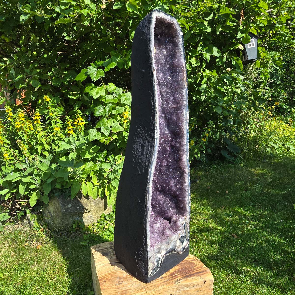 Amethyst Druse – Geode - 84x23x26cm und 45,4kg – Steinwelten OG - Nr. 361, perfect for stylish interiors, gardens, and healing spaces.