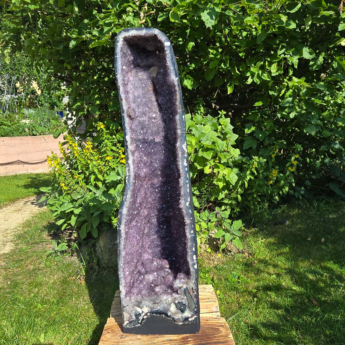 Amethyst Druse – Geode - 84x23x26cm und 45,4kg – Steinwelten OG - Nr. 361 in a garden setting.