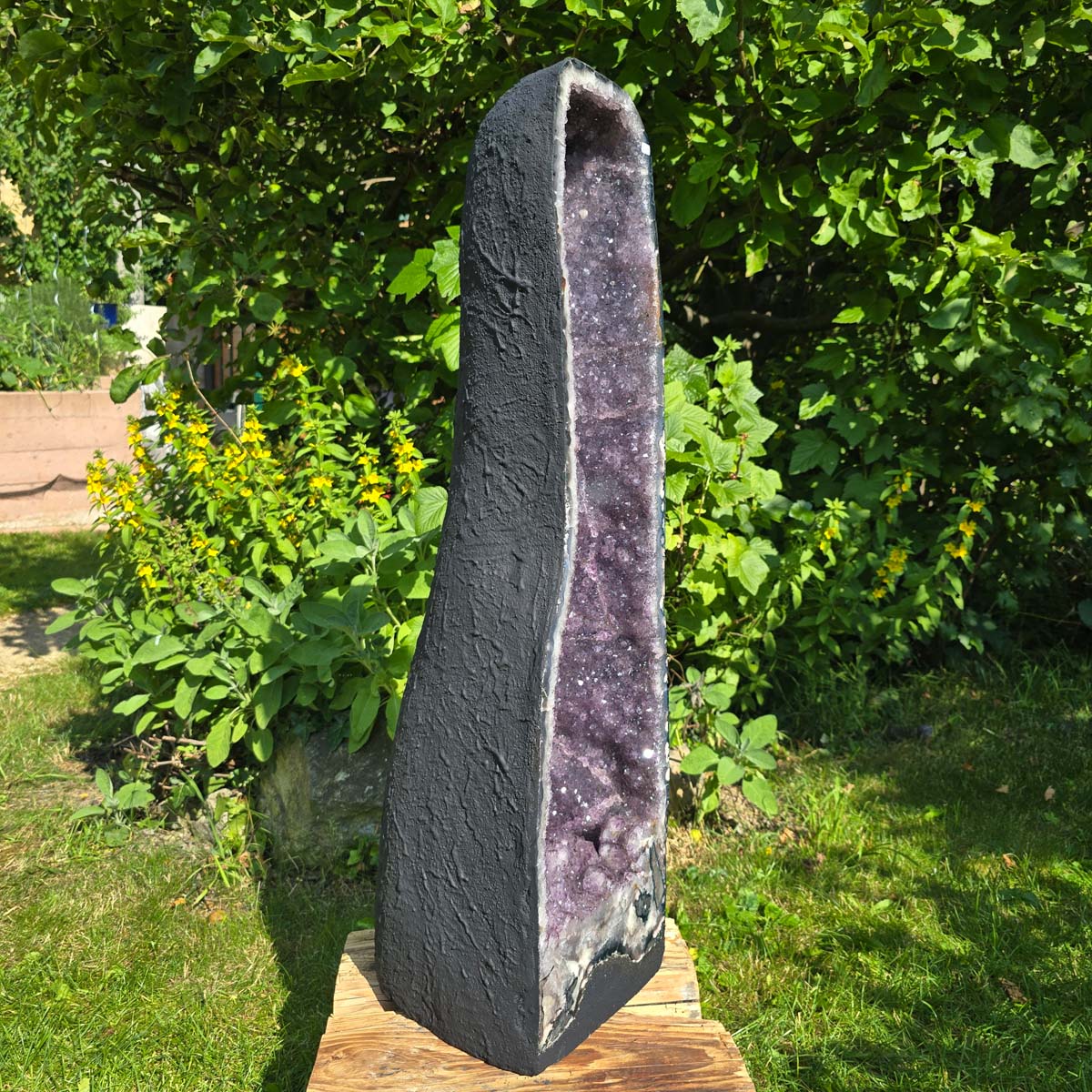 Amethyst Druse – Geode - 84x23x26cm und 45,4kg – Steinwelten OG - Nr. 361 displayed outdoors among greenery