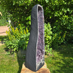 Amethyst Druse – Geode - 84x23x26cm und 45,4kg – Steinwelten OG - Nr. 361 displayed outdoors among greenery