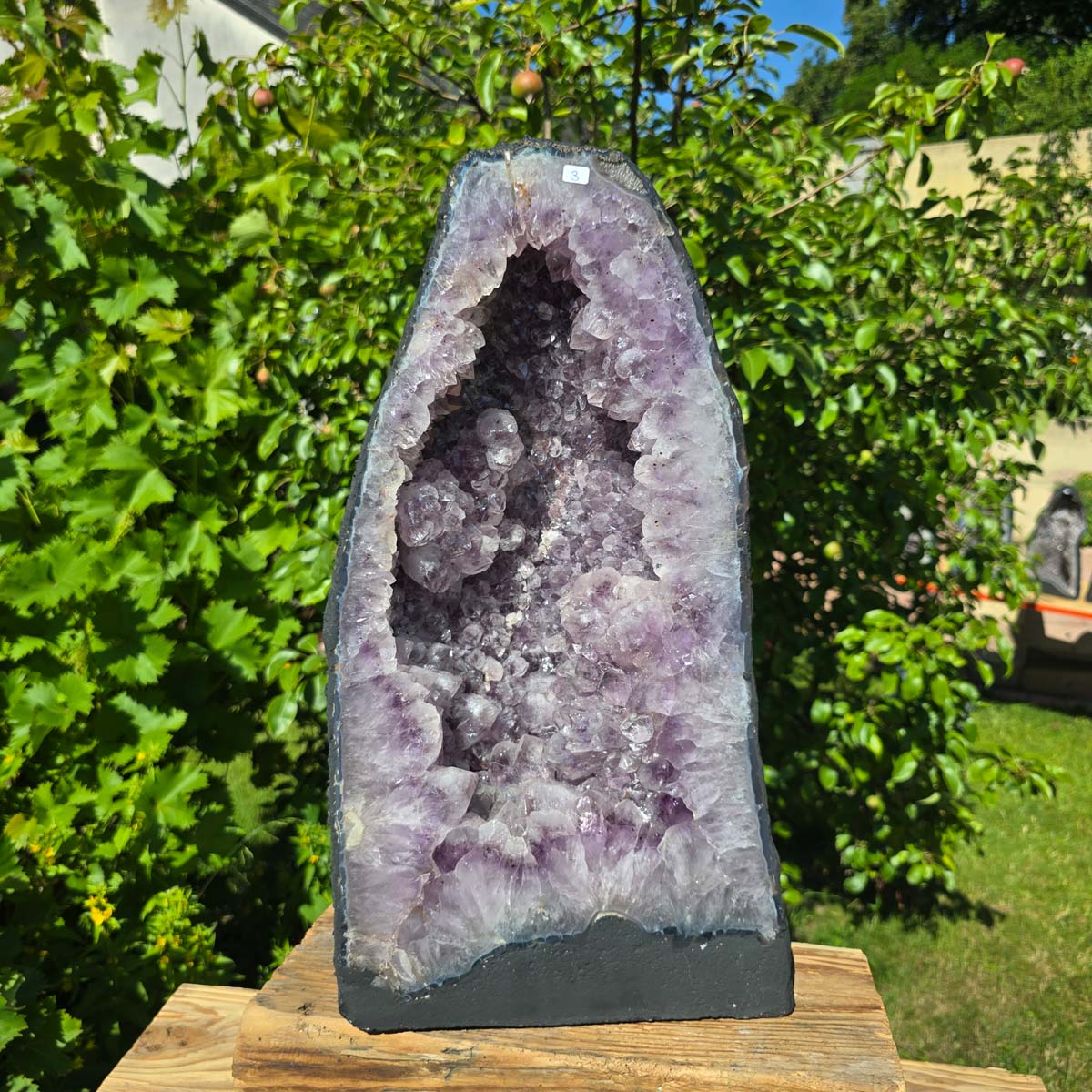 Amethyst Druse – Geode - 49x26x14cm und 21kg – Steinwelten OG - Nr. 3, helle Kristalle, Brasilien, dekorative Geode