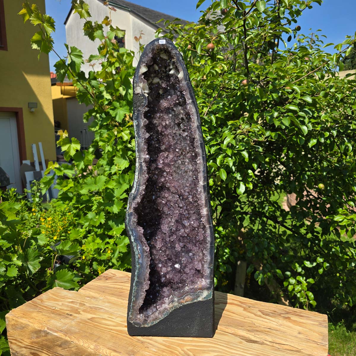 Amethyst Druse – Geode - 68x22x19cm und 25,8kg – Steinwelten OG - Nr. 42 in sunlight with lush green background.
