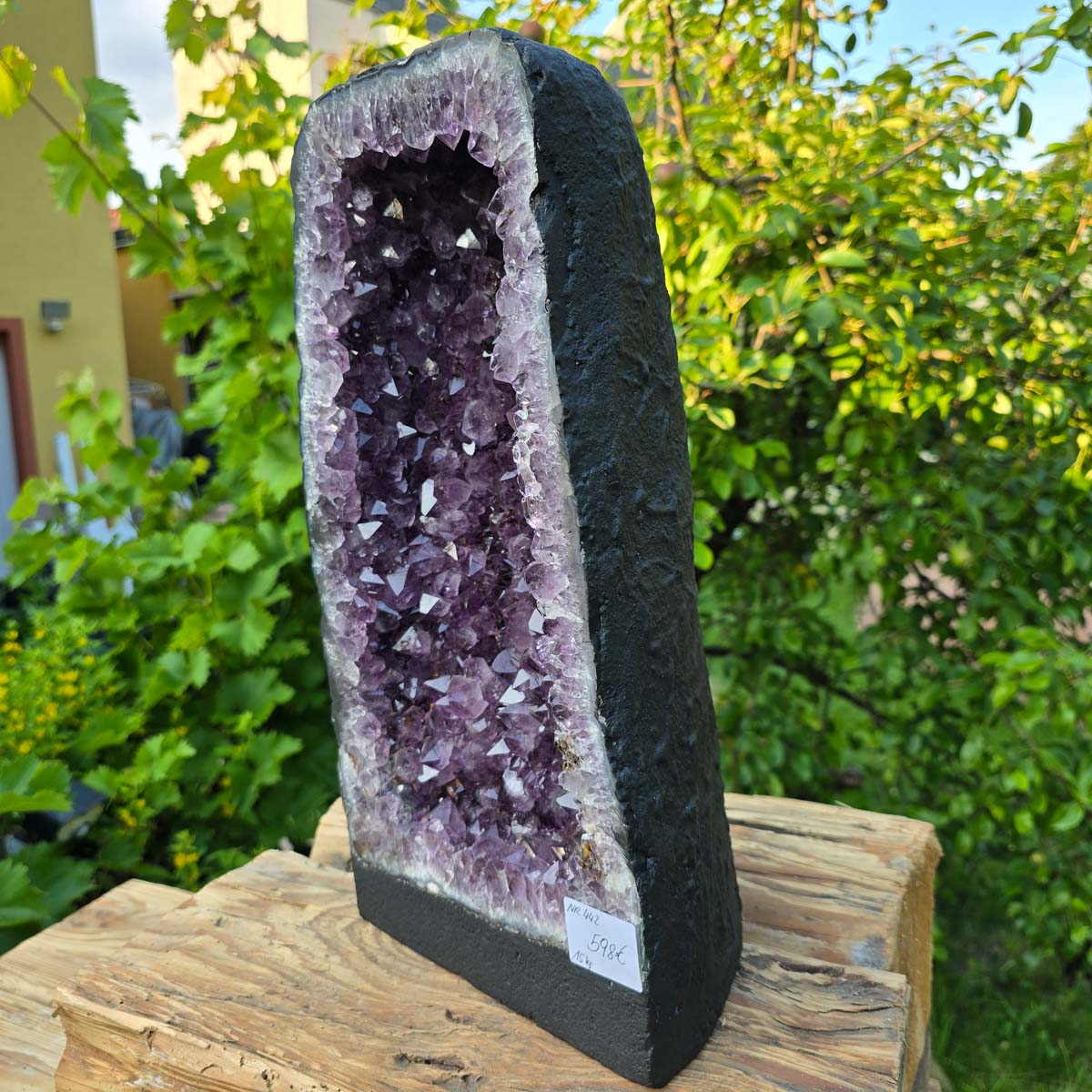 Amethyst Druse – Geode - 41x22x16cm und 15kg – Steinwelten OG - Nr. 442, elegant for decor and meditation, unique crystal specimen.