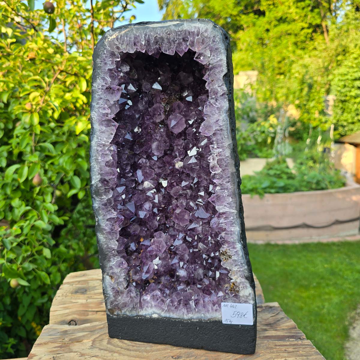 Amethyst Druse – Geode - 41x22x16cm und 15kg – Steinwelten OG - Nr. 442, unique home decor gemstone for meditation and peace.