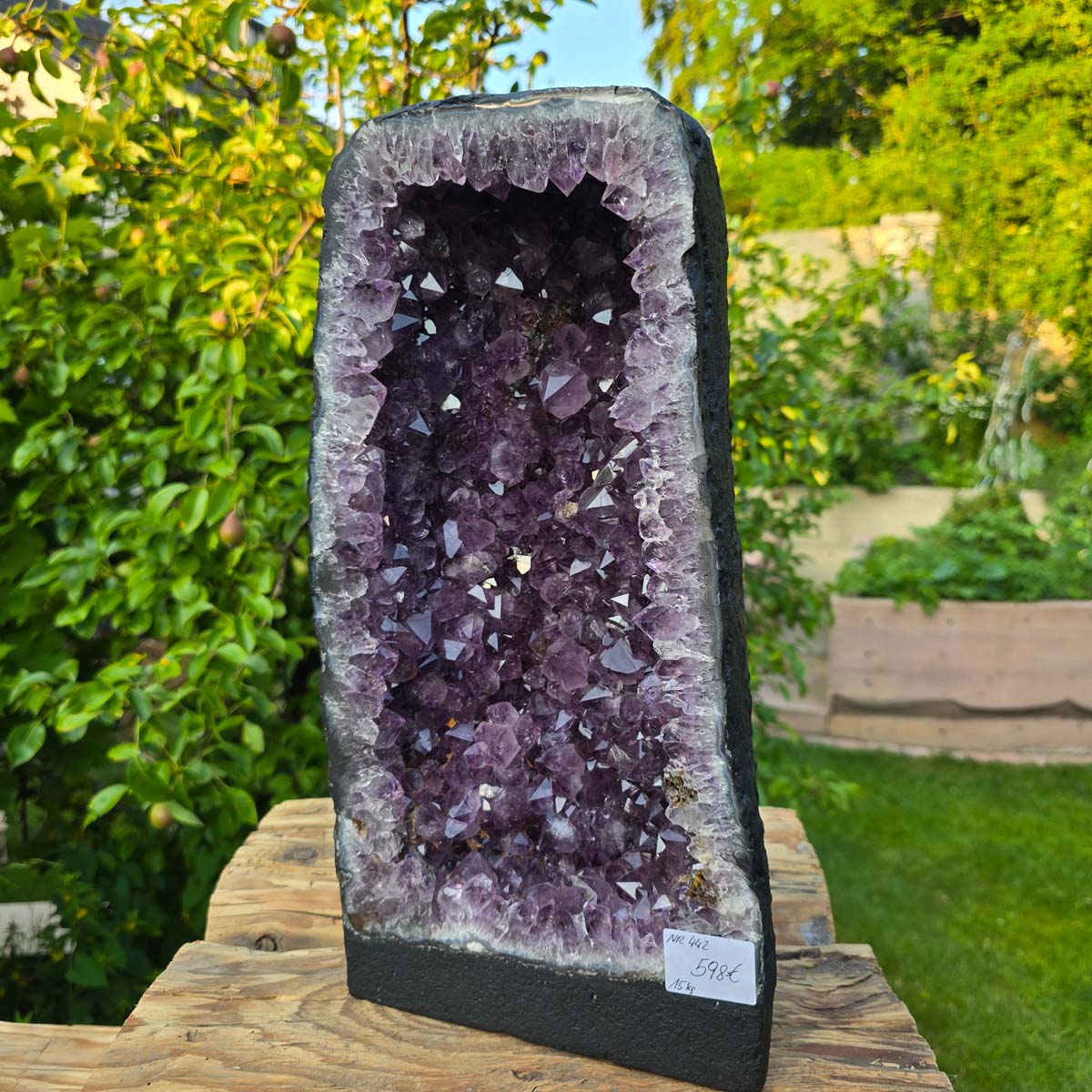 Amethyst Druse – Geode - 41x22x16cm und 15kg – Steinwelten OG - Nr. 442 displayed in a garden setting