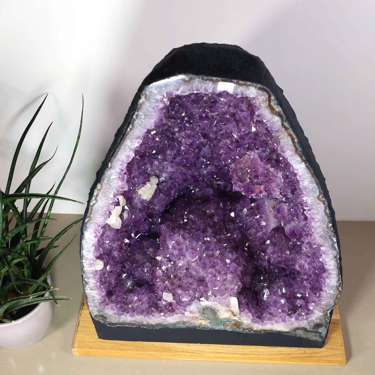 Amethyst Druse – Geode - 34x47x25cm und 39,2kg – Steinwelten OG - Nr. 450, ideal for stylish interior decoration and meditation spaces.