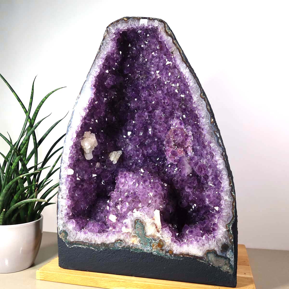 Amethyst Druse – Geode - 34x47x25cm und 39,2kg – Steinwelten OG - Nr. 450, a unique decor piece for stylish interiors.