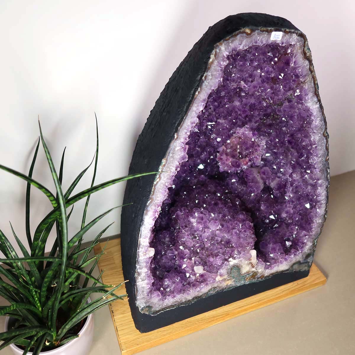 Amethyst Druse – Geode - 34x47x25cm und 39,2kg – Steinwelten OG - Nr. 450, a unique decor piece for stylish interiors.