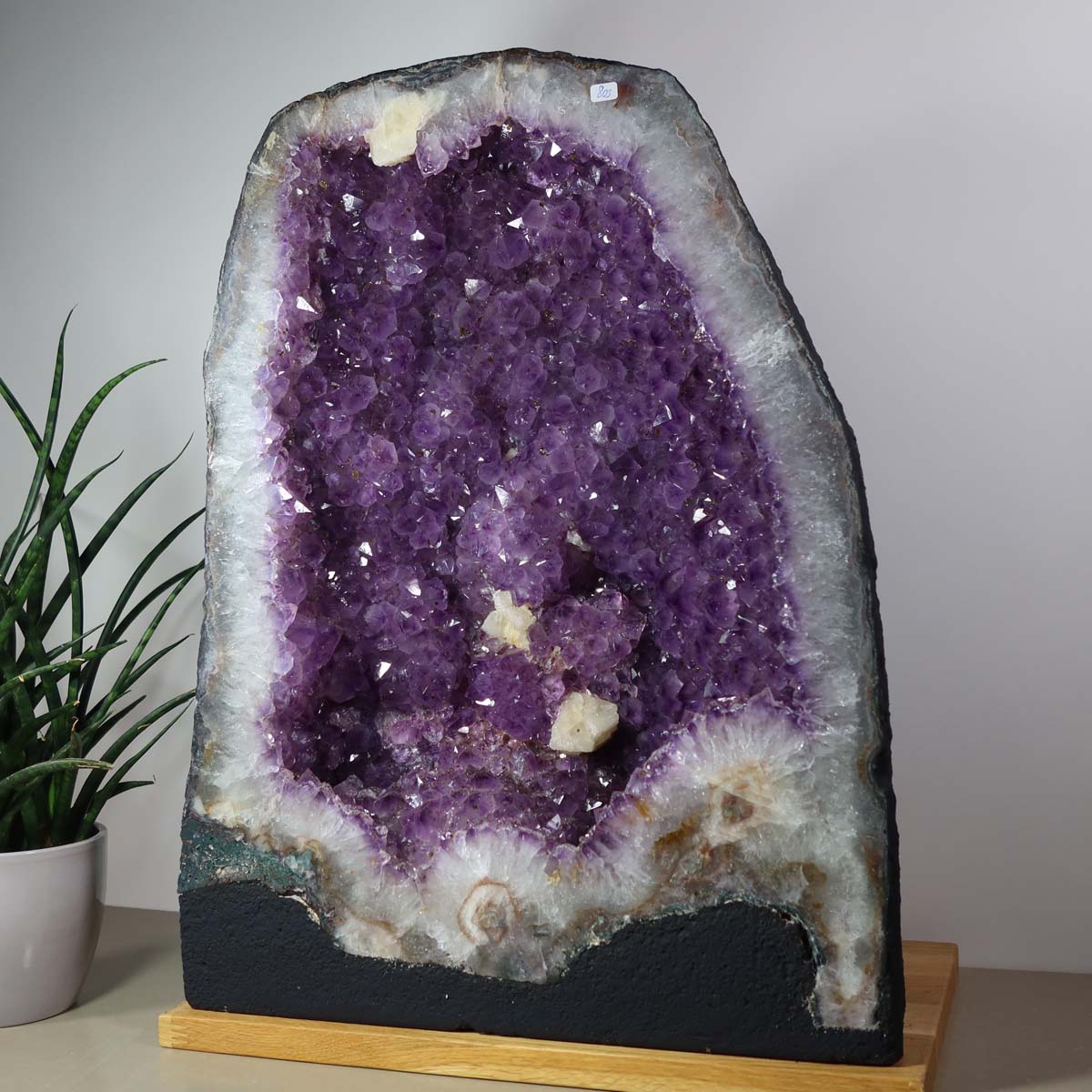 Amethyst Druse – Geode - 38x49x21cm und 41,8kg – Steinwelten OG - Nr. 451