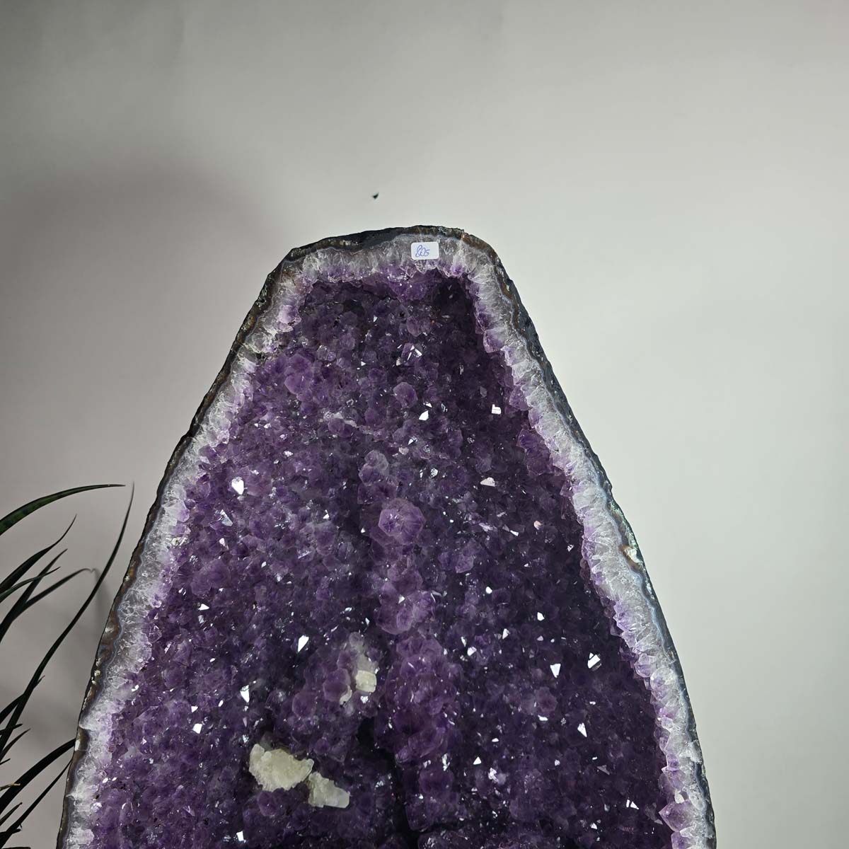 Amethyst Druse – Geode - 34x47x25cm und 34,4kg – Steinwelten OG - Nr. 453, perfect for stylish interiors and serenity.
