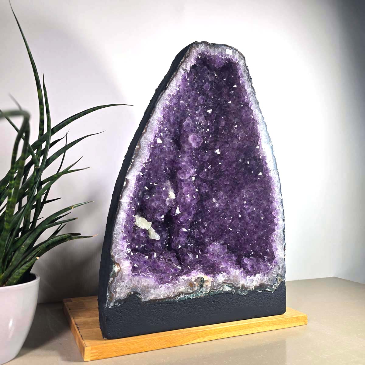 Amethyst Druse – Geode - 34x47x25cm und 34,4kg – Steinwelten OG - Nr. 453 displaying unique purple crystals