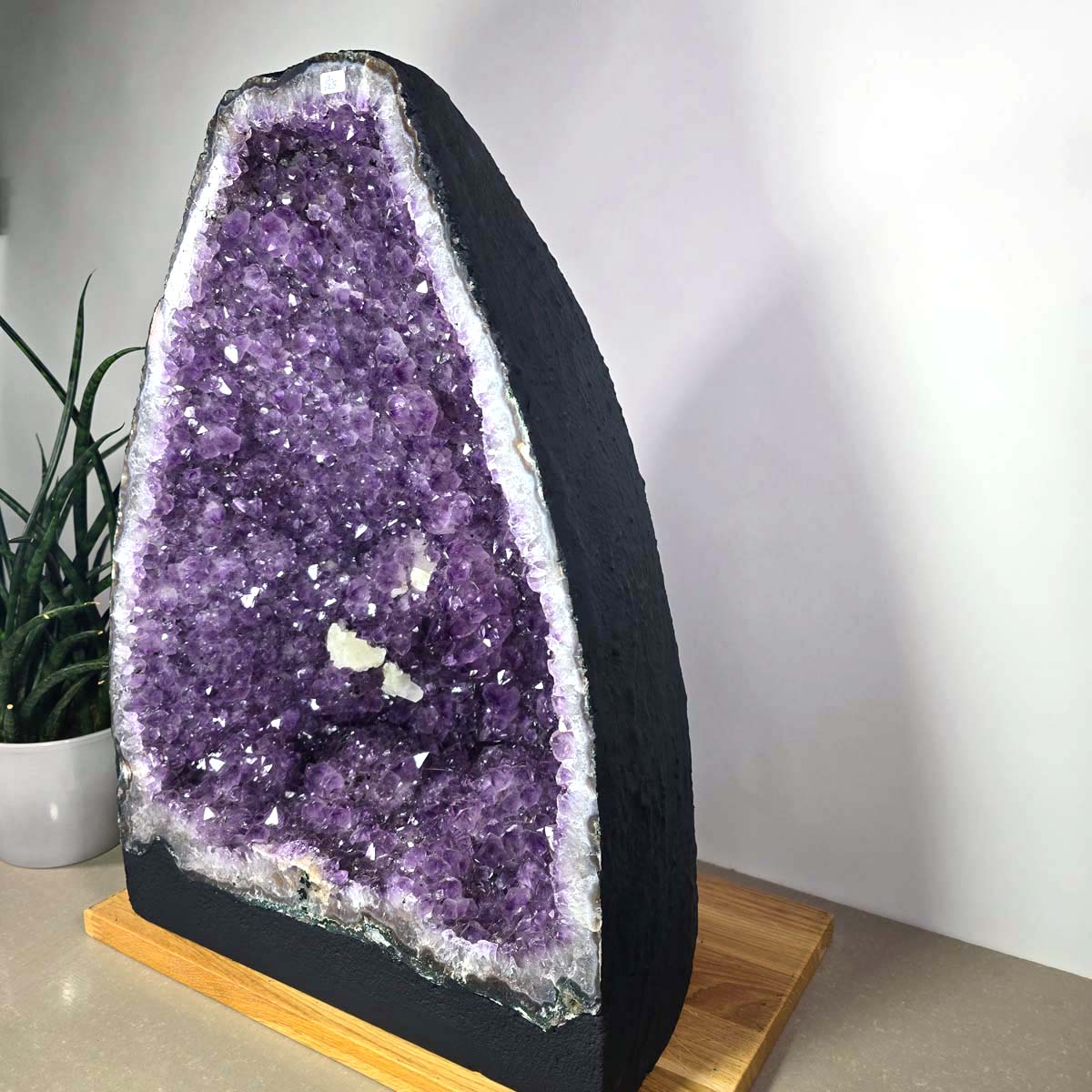 Amethyst Druse – Geode - 34x47x25cm und 34,4kg – Steinwelten OG - Nr. 453 displaying unique purple crystals