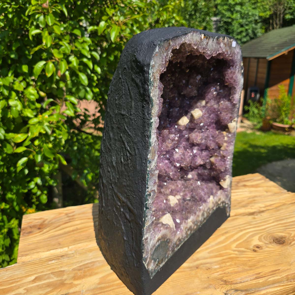 Amethyst Druse – Geode - 43x32x22cm und 31,2kg – Steinwelten OG - Nr. 53 displayed on a wooden surface in a garden setting.
