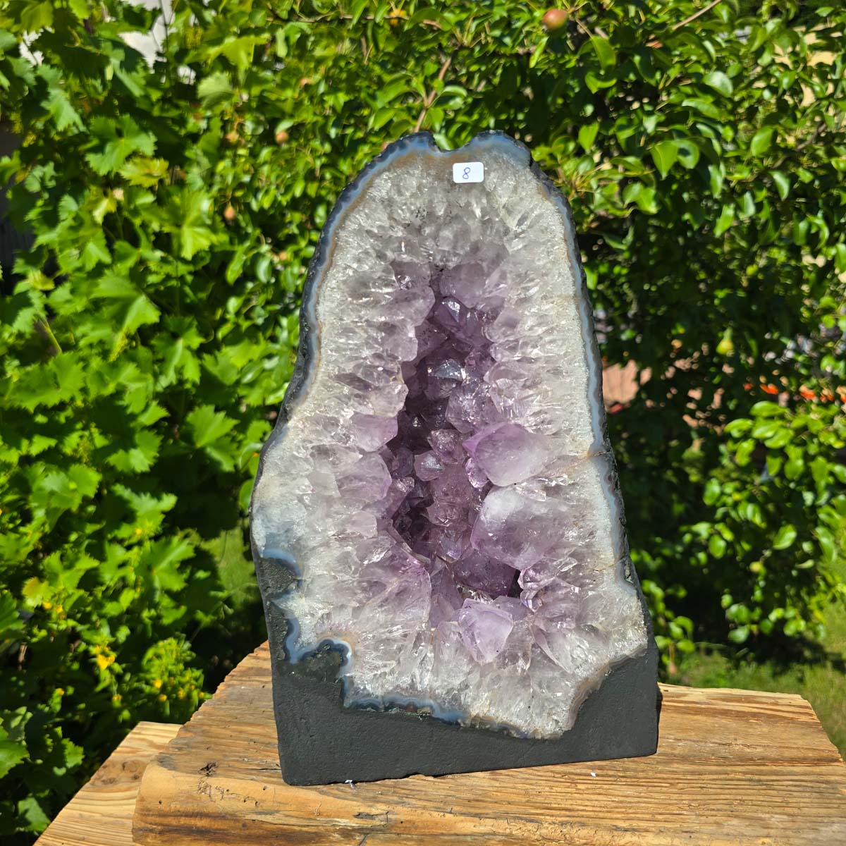Amethyst Druse – Geode - 32x20x15cm und 11,4kg – Steinwelten OG - Nr. 8 aus Brasilien mit hellvioletten Kristallen im Abverkauf