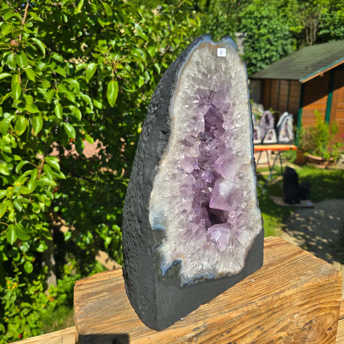 Amethyst Druse – Geode - 32x20x15cm und 11,4kg – Steinwelten OG - Nr. 8, showcasing bright crystals in sunlight.