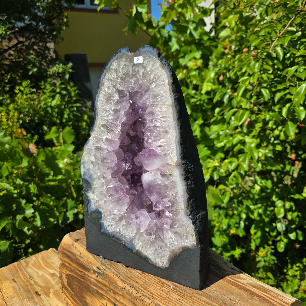 Amethyst Druse – Geode - 32x20x15cm und 11,4kg – Steinwelten OG - Nr. 8 aus Brasilien mit hellvioletten Kristallen im Abverkauf