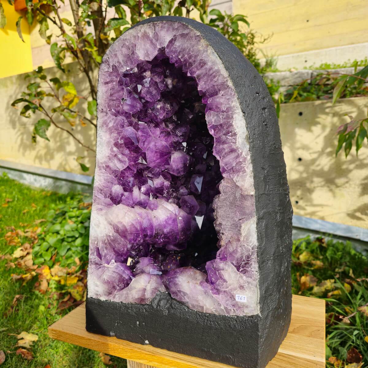 Amethyst Drusen Fachgeschäft 