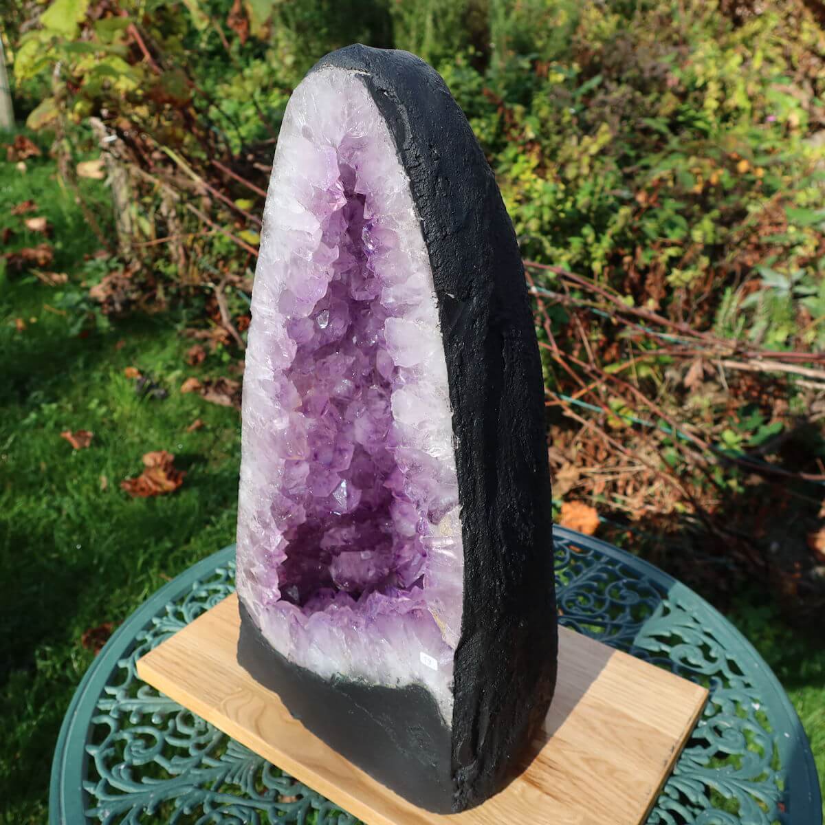 Unique dark AA quality Amethyst geode displayed outdoors, showcasing natural purple crystals for meditation and home decor.