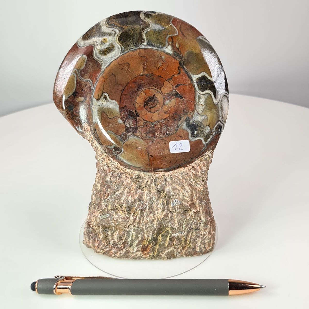 Ammonit Fossil with Natural Stone Base, unique piece No. 12, hand-polished and crafted, found in Morocco, over 350 million years old.