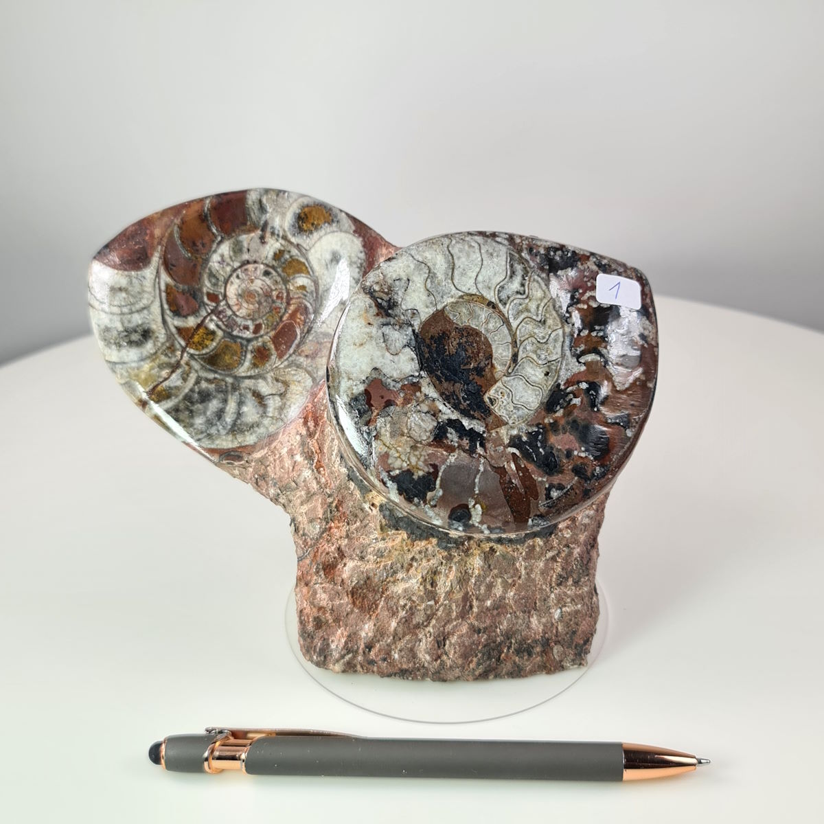 Ammonit fossil on natural stone base, hand-polished, unique item 1, millions of years old from Morocco; pen for scale.