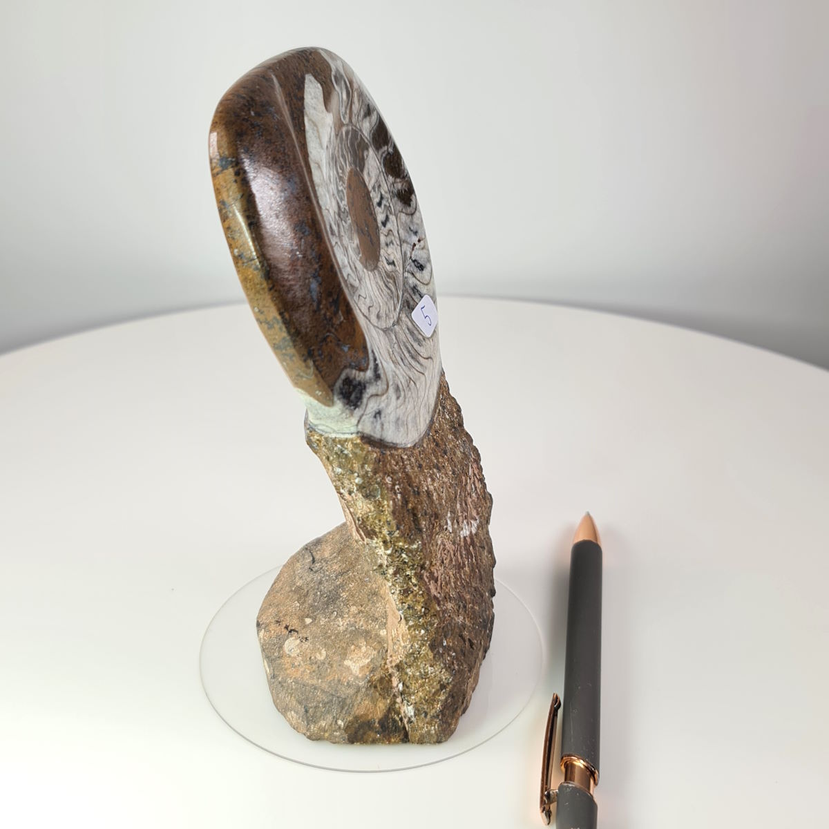 Ammonit - Versteinertes echtes Fossil mit Natursteinsockel, handgeschliffen und poliert Unikat-Nr.5 auf weißem Hintergrund