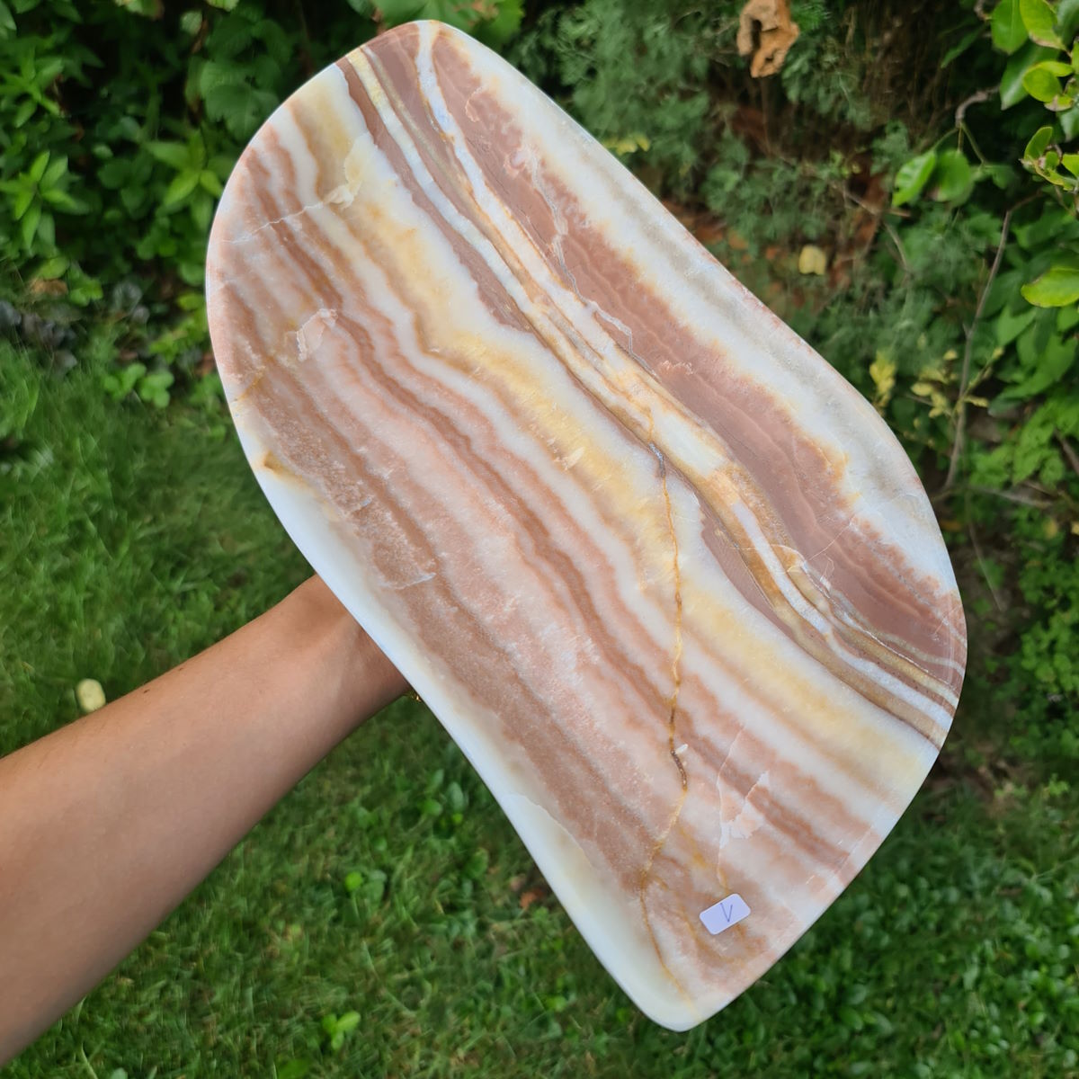 Aragonit Schale geschliffen 