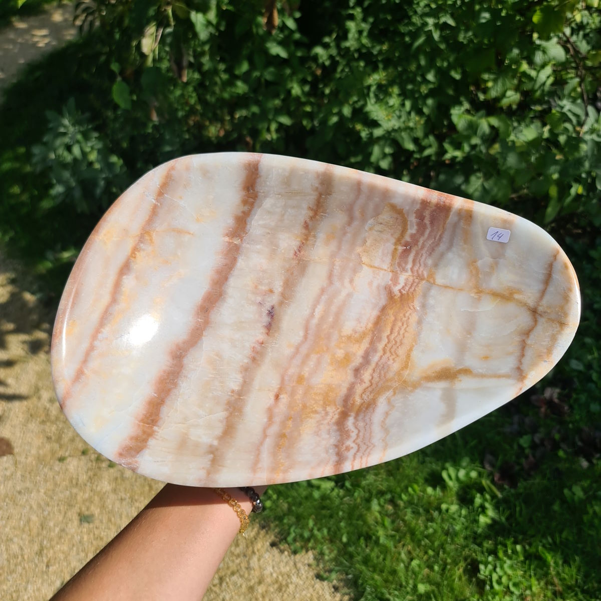 Aragonit Schale Steinwelten 