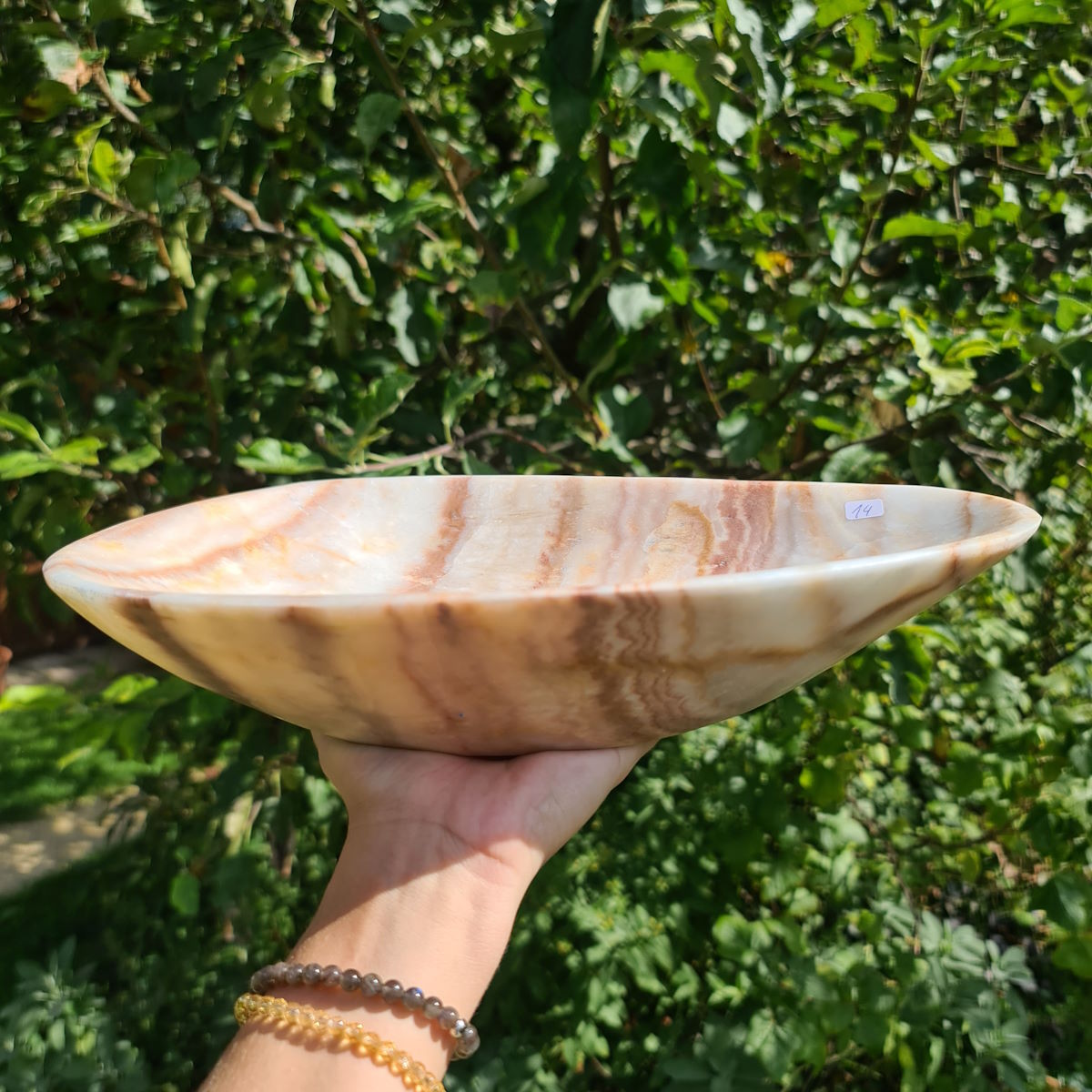 Aragonit Schale Steinwelten 