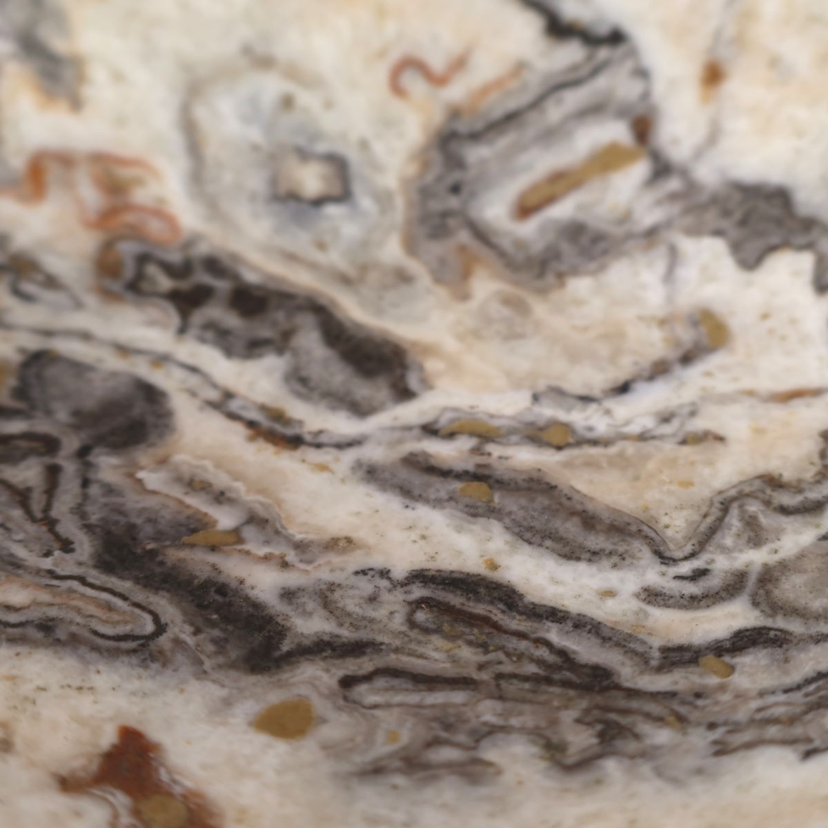 Aragonit Schale geschliffen kaufen 