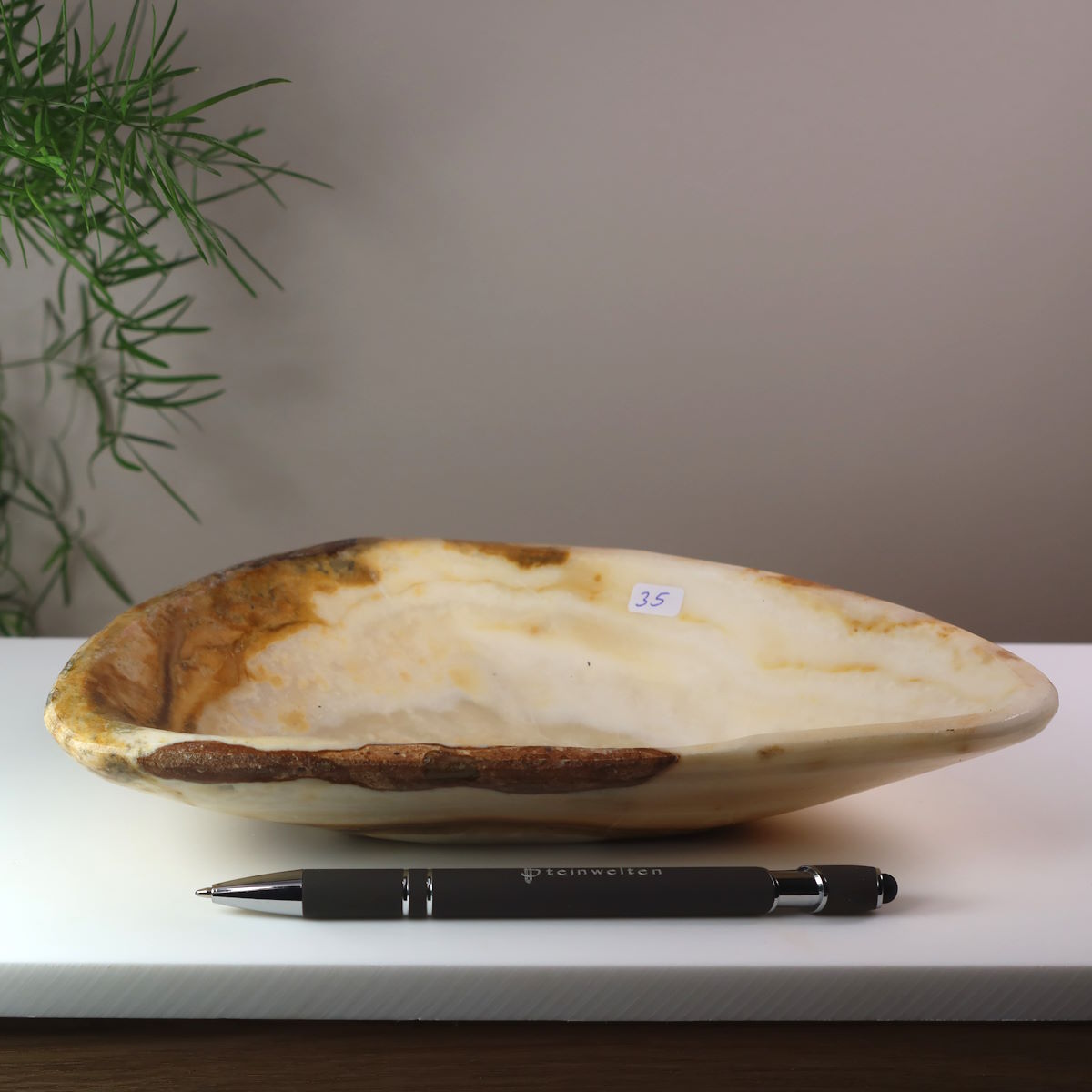 Polierte Aragonit Schale 