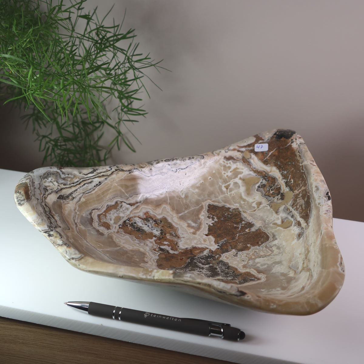 Aragonit Schale geschliffen und poliert 