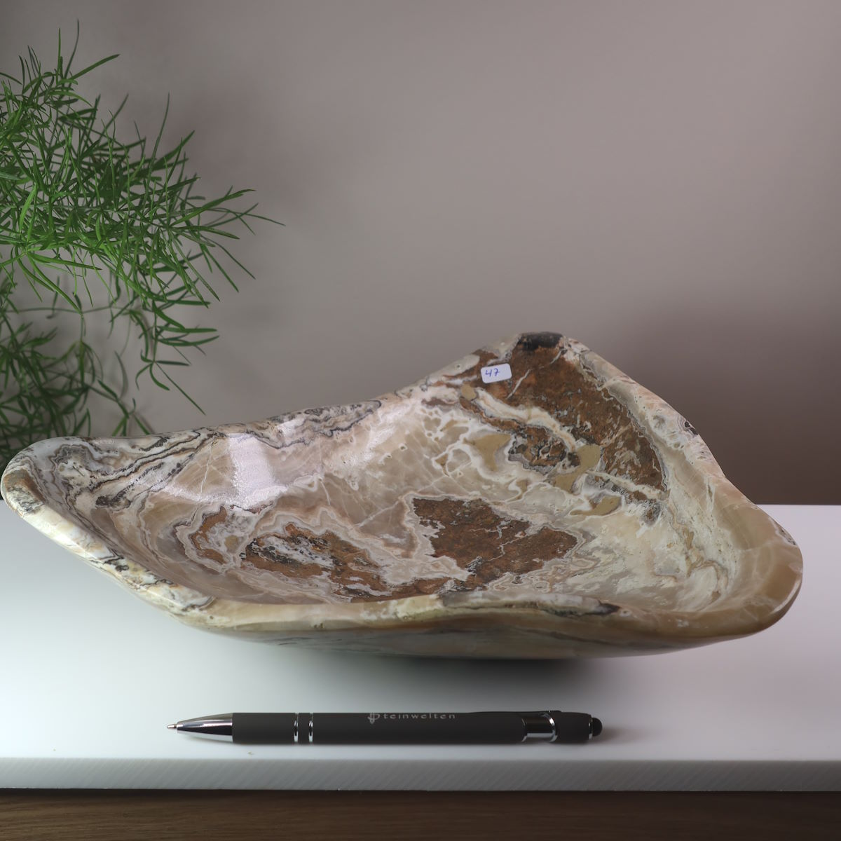 Aragonit Schale geschliffen und poliert 